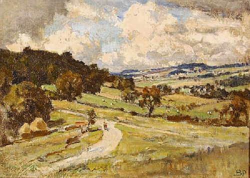 extensive_landscape