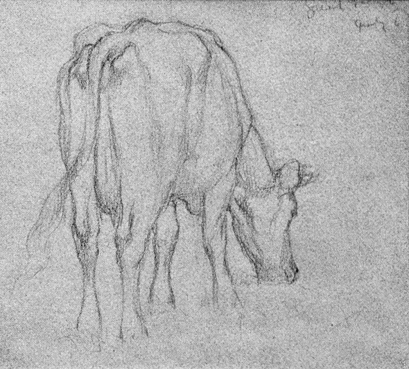 zCow_study