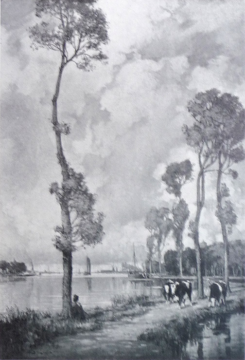 zsunshine_and_shadow#27D7F5