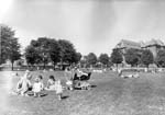 Dudhope Park and Prams