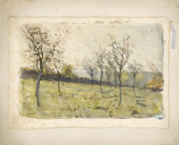 View of an orchard