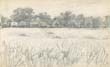 View across a field #1960DF