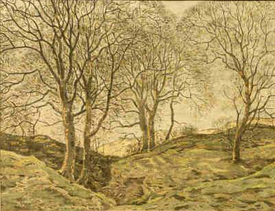 Landscape At Castle Bolton